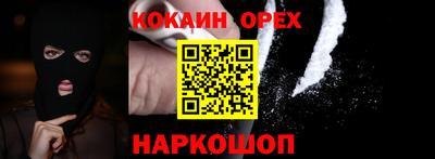 шишки Кандалакша