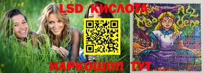 шишки Кандалакша
