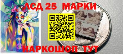 шишки Кандалакша