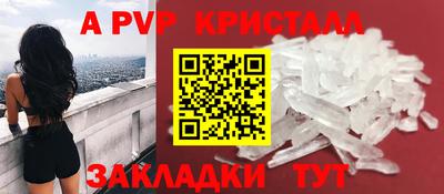 шишки Кандалакша