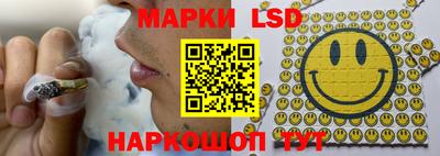 шишки Кандалакша