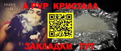 шишки Кандалакша