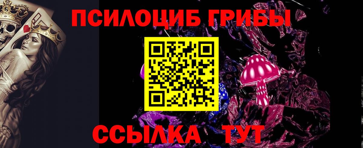 купить наркотики цена  Псилоцибиновые грибы ЛСД  Вход с VPN  Туапсе 