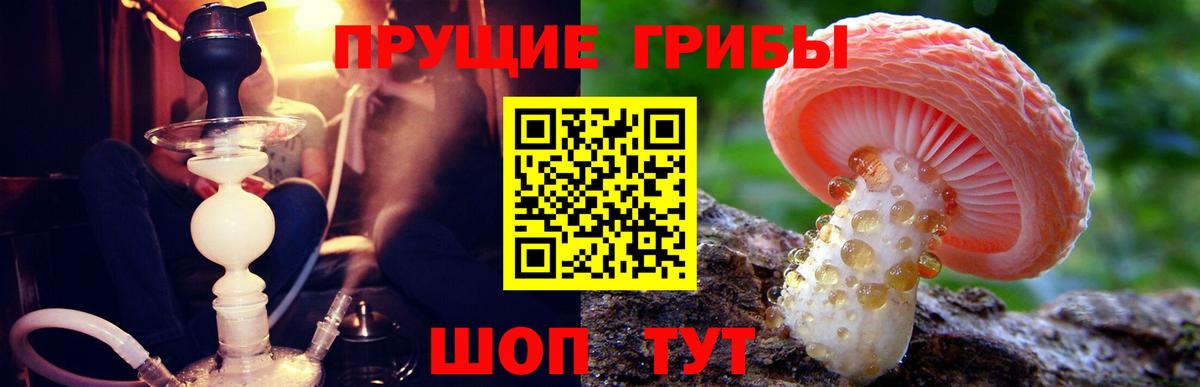 Галлюциногенные грибы Psilocybine cubensis Туапсе